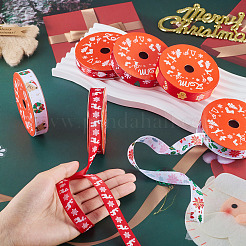 6Rolls 6 Styles Christmas Polyester Printed Ribbon&nbsp;OCOR-TA0003-43