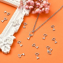 304 Stainless Steel Charms&nbsp;STAS-CJC0008-14P