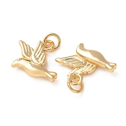 Brass Pendants&nbsp;KK-H297-06G
