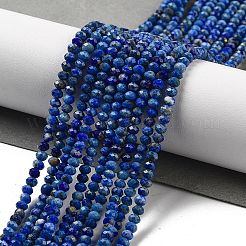 Natural Lapis Lazuli Dyed Beads Strands&nbsp;LS-G-G140-B04-04