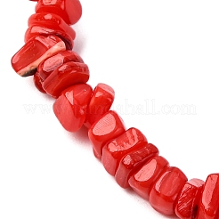 Dyed Natural Freshwater Shell Beads Stretch Bracelets for Men Women&nbsp;BJEW-JB12477-01
