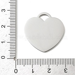 Valentine's Day 304 Stainless Steel Pendants&nbsp;SA-E001-13P