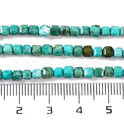 Natural Howlite Beads Strands&nbsp;G-G001-A03-07