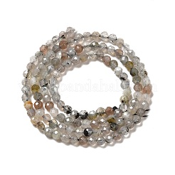 Natural Labradorite Beads Strands&nbsp;X-G-I341-11