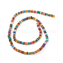 Rainbow Color Natural Freshwater Shell Beads Strands&nbsp;SHEL-M018-08A