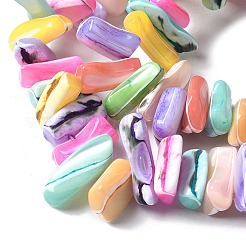 Dyed Natural Trochus Shell Beads Strands&nbsp;SSHEL-C013-09G