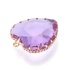 Transparent Glass Pendants&nbsp;KK-N283-01H-G