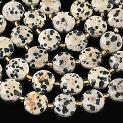 Natural Dalmatian Jasper Beads Strands&nbsp;G-C116-A187-01