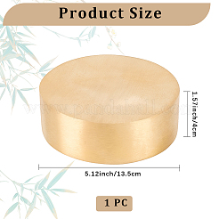 Brass Paper Weight&nbsp;DJEW-WH20009-04G