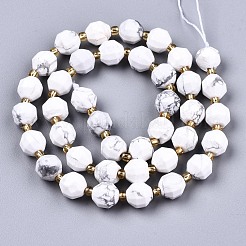 Natural Howlite Beads Strands&nbsp;G-T131-81A