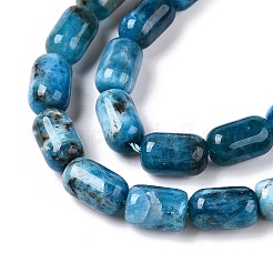 Natural Apatite Beads Strands&nbsp;G-G980-51B