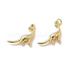 Dinosaur Brass Pendants&nbsp;KK-G419-20G
