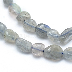 Natural Labradorite Beads Strands&nbsp;G-L550A-06