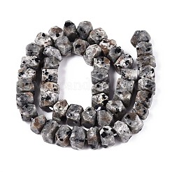 Natural Syenite Beads Strands&nbsp;G-D091-A32