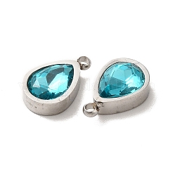 304 Stainless Steel Pendants&nbsp;STAS-A080-10P