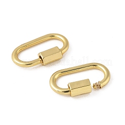 Brass Screw Carabiner Lock Charms&nbsp;ZIRC-G160-11G-B