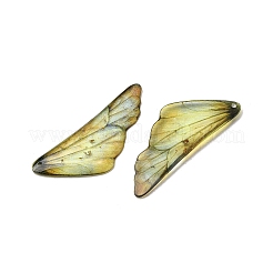 2Pcs Transparent Epoxy Resin Pendants&nbsp;RESI-A044-04C