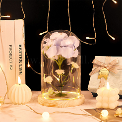 Glass Dome Cover&nbsp;DJEW-WH0043-46