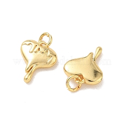 Brass Pendants&nbsp;KK-E797-07B-G