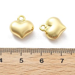 Brass Pendants&nbsp;KK-U049-03G-02