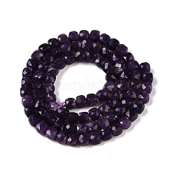 Natural Lepidolite Beads Strands&nbsp;G-N342-128-1