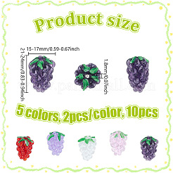 10Pcs 5 Colors Handmade Lampwork Beads&nbsp;LAMP-NB0002-25