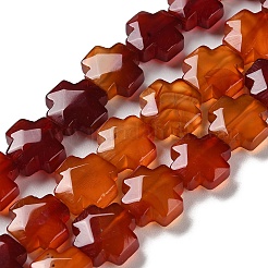 Natural Red Agate Beads Strands&nbsp;G-K357-C05-01