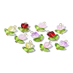 Handmade Lampwork Pendants&nbsp;PALLOY-YW028-01