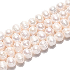 Natural Cultured Freshwater Pearl Beads Strands&nbsp;PEAR-N026-04