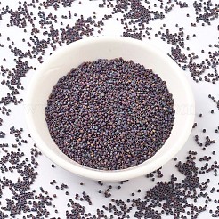 MIYUKI Delica Beads&nbsp;SEED-J020-DB0884