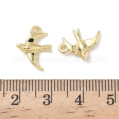 Alloy Pendants&nbsp;FIND-L024-03G