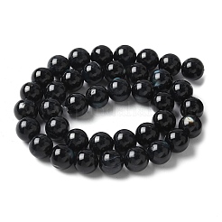 Natural Black Lip Shell Beads Strands&nbsp;SSHEL-C013-01D