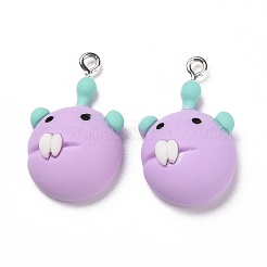 Opaque Resin Pendants&nbsp;LS-RESI-G028-20P