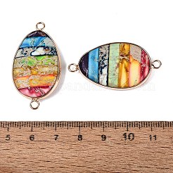 Synthetic Imperial Jasper Connector Charms&nbsp;G-Q606-100G