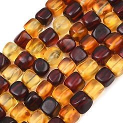 Two Tone Natural Amber Beads Strands&nbsp;G-K426-A03-04
