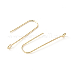 316 Surgical Stainless Steel Earring Hooks&nbsp;STAS-Z124-02D-G