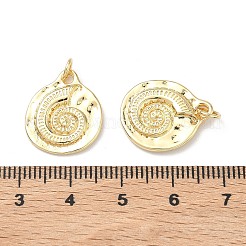 Brass Pendants&nbsp;KK-C252-13G