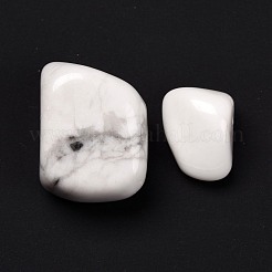 Natural Howlite Beads&nbsp;G-O029-08D