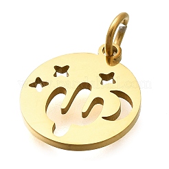 304 Stainless Steel Charms&nbsp;STAS-Z119-07G
