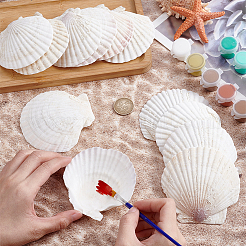 60Pcs Natural Shell Jewelry Decorative Plate&nbsp;AJEW-GA0009-64C