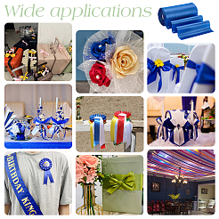 Polyester Satin Ribbon&nbsp;OCOR-WH0105-015A