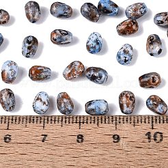 Picasso Glass Seed Beads&nbsp;SEED-N012-10N