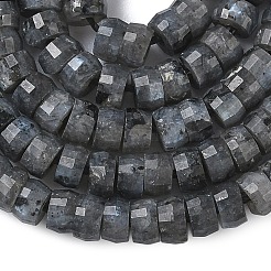 Natural Larvikite Heishi Beads Strands&nbsp;G-A299-A04-01