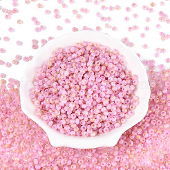 6/0 Glass Seed Beads&nbsp;SEED-N008-07H