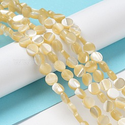 Natural Trochus Shell Beads Strands&nbsp;BSHE-P033-02