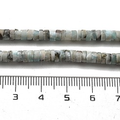 Natural Larimar Beads Strands&nbsp;G-Q024-B03-01