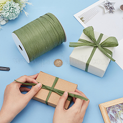 Flat Raffia Paper Ribbon&nbsp;OCOR-BC0006-20C