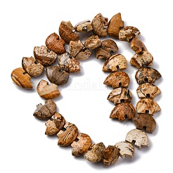 Natural Picture Jasper Beads Strands&nbsp;G-F783-G03-01