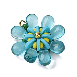 Glass & Polymer Clay Pendants&nbsp;PALLOY-MZ00810-05