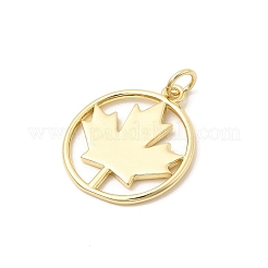Brass Pendants&nbsp;KK-Z147-13G